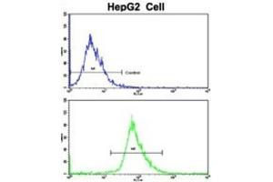 Flow Cytometry (FACS) image for anti-Ribosomal Protein S15 (RPS15) antibody (ABIN3002876) (RPS15 antibody)