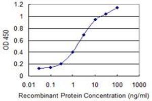Detection limit for recombinant GST tagged TFEC is 0. (TFEC antibody  (AA 1-89))