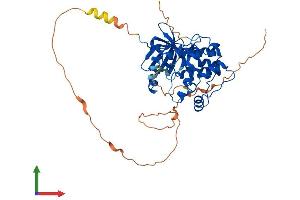 AlphaFold protein structure predicition of Mouse Recombinant Aurka Protein, UniprotID P97477