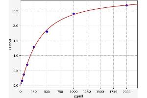 Sclerostin (SOST) ELISA Kit