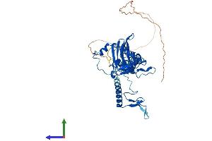 AlphaFold protein structure predicition of Human Recombinant MRPS5 Protein, UniprotID P82675 (MRPS5 Protein (AA 1-430) (His tag))
