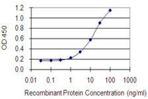 Detection limit for recombinant GST tagged DLST is 0. (DLST antibody  (AA 1-99))