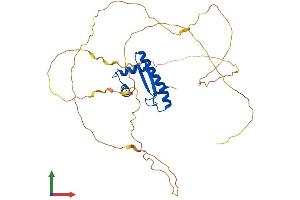 Protein Structure (PS) image for Myocyte Enhancer Factor 2B (MEF2B) (AA 1-365) protein (His tag) (ABIN7549303)
