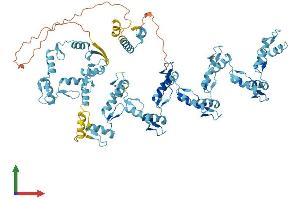 AlphaFold protein structure predicition of Human Recombinant ZNF585A Protein, UniprotID Q6P3V2 (ZNF585A Protein (AA 1-769) (His tag))