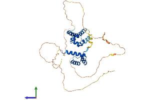 AlphaFold protein structure predicition of Human Recombinant POU3F4 Protein, UniprotID P49335