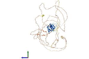 AlphaFold protein structure predicition of Mouse Recombinant Elf4 Protein, UniprotID Q9Z2U4