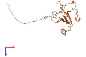 AlphaFold protein structure predicition of Human Recombinant C2orf48 Protein, UniprotID Q96LS8 (C2ORF48 Protein (AA 1-159) (His tag))