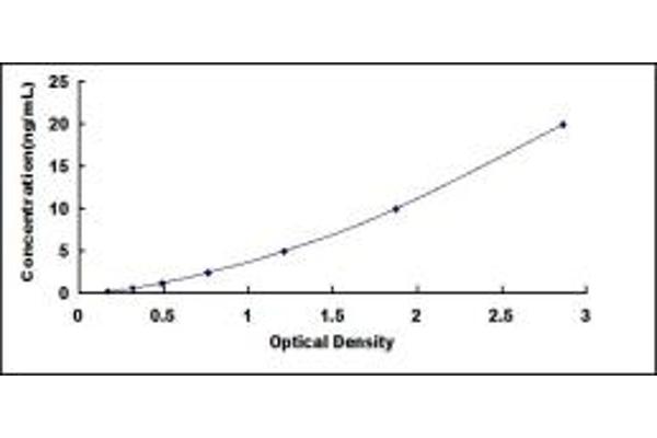 Myeloperoxidase ELISA Kit