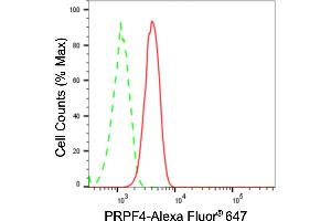 Flow cytometric analysis of PRPF4 expression in HT- cells using PRPF4 antibody (ABIN7800057), 1:2,000). (Recombinant PRPF4 antibody)