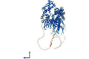 AlphaFold protein structure predicition of Mouse Recombinant Hspa4 Protein, UniprotID Q61316