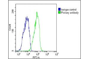 Overlay histogram showing HepG2 cells stained with (ABIN6242722 and ABIN6578815)(green line). (Glycogenin 1 antibody  (AA 314-347))