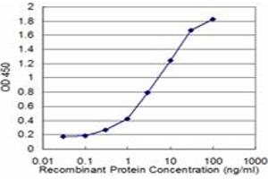 Detection limit for recombinant GST tagged HARS is approximately 0. (HARS1/Jo-1 antibody  (AA 1-96))