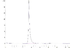 The purity of Human SLAMF7 is greater than 95 % as determined by SEC-HPLC. (SLAMF7 Protein (AA 23-226) (mFc Tag))