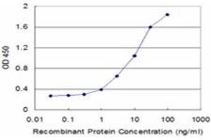 Detection limit for recombinant GST tagged SFN is approximately 0. (14-3-3 sigma/SFN antibody  (AA 1-248))