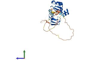 Protein Structure (PS) image for Baculoviral IAP Repeat-Containing 7 (BIRC7) (AA 1-285) protein (His tag) (ABIN7561967)