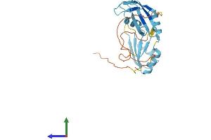 AlphaFold protein structure predicition of Human Recombinant SRSF9 Protein, UniprotID Q13242 (SFRS9 Protein (AA 1-221) (His tag))