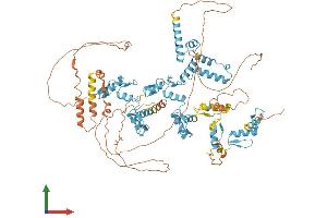 Protein Structure (PS) image for Zinc Finger with KRAB and SCAN Domains 5 (ZKSCAN5) (AA 1-839) protein (His tag) (ABIN7545729)