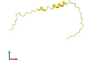 AlphaFold protein structure predicition of Human Recombinant PRAC1 Protein, UniprotID Q96KF2