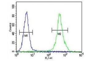 ZEB2 antibody flow cytometric analysis of MDA-MB435 cells (right histogram) compared to a negative control (left histogram). (ZEB2 antibody  (AA 1078-1105))