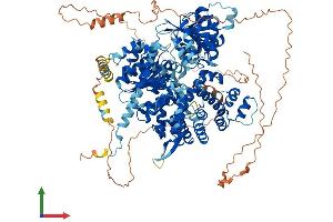 AlphaFold protein structure predicition of Human Recombinant HELQ Protein, UniprotID Q8TDG4 (HEL308 Protein (AA 1-1101) (His tag))