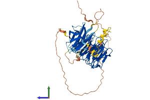 Protein Structure (PS) image for WD Repeat Domain, Phosphoinositide Interacting 2 (WIPI2) (AA 1-454) protein (His tag) (ABIN7556031)