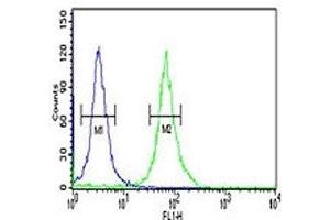 PKM2 antibody flow cytometric analysis of 293 cells (right histogram) compared to a negative control (left histogram). (PKM2 antibody  (AA 116-145))