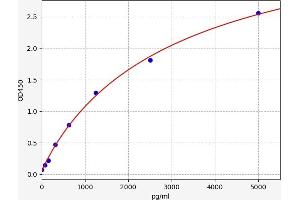 Glutathione Reductase (GSR) ELISA Kit