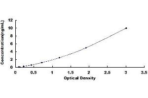 Typical standard curve (ATG5 ELISA Kit)