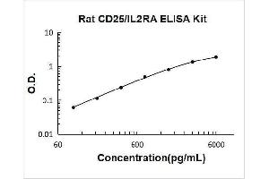 Typical Standard Curve