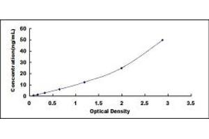 Typical standard curve (MUC4 ELISA Kit)