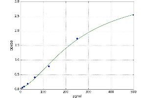 Heat shock factor protein 2 (HSF2) ELISA Kit