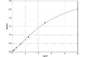A typical standard curve (MMP17 ELISA Kit)