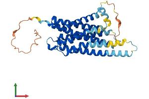 AlphaFold protein structure predicition of Human Recombinant GPR3 Protein, UniprotID P46089