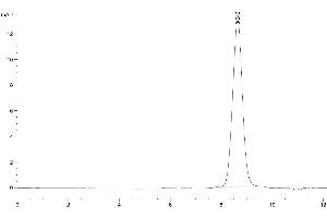 The purity of Human AMHRII is greater than 95 % as determined by SEC-HPLC.