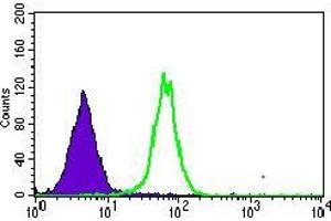 Flow cytometric analysis of HepG2 cells using MRPL42 mouse mAb (green) and negative control (purple). (MRPL42 antibody  (AA 142-203))