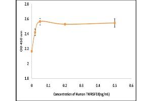 Activity Assay (AcA) image for Tumor Necrosis Factor Receptor Superfamily, Member 1B (TNFRSF1B) (Active) protein (ABIN5509485) (TNFRSF1B Protein)