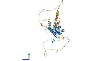 AlphaFold protein structure predicition of Human Recombinant SLC30A10 Protein, UniprotID Q6XR72