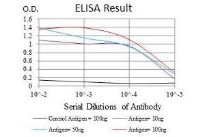 Black line: Control Antigen (100 ng), Purple line: Antigen(10 ng), Blue line: Antigen (50 ng), Red line: Antigen (100 ng), (RPS6KA3 antibody)