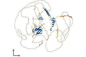 AlphaFold protein structure predicition of Human Recombinant ZFAND4 Protein, UniprotID Q86XD8