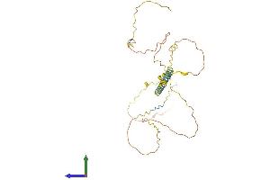 AlphaFold protein structure predicition of Mouse Recombinant Bsnd Protein, UniprotID Q8VIM4