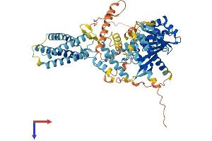 AlphaFold protein structure predicition of Mouse Recombinant Daglb Protein, UniprotID Q91WC9 (DAGLB Protein (AA 1-669) (His tag))