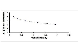 Typical standard curve (Kallikrein 10 ELISA Kit)