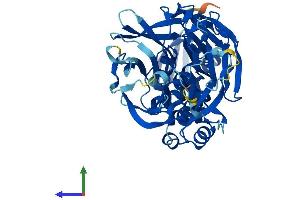 AlphaFold protein structure predicition of Mouse Recombinant Kbtbd13 Protein, UniprotID Q8C828