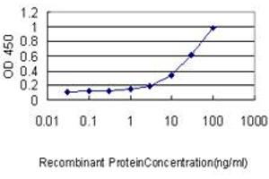 Detection limit for recombinant GST tagged EBF1 is approximately 0. (EBF1 antibody  (AA 1-591))