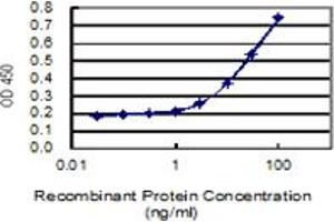 Detection limit for recombinant GST tagged TYK2 is 1 ng/ml as a capture antibody. (TYK2 antibody  (AA 276-375))