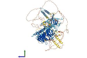 AlphaFold protein structure predicition of Human Recombinant ARHGEF10L Protein, UniprotID Q9HCE6
