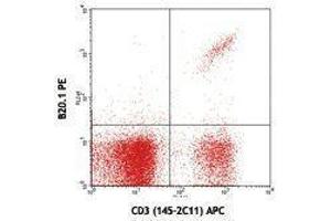 Flow Cytometry (FACS) image for anti-V alpha 2 TCR antibody (PE) (ABIN2663905) (V alpha 2 TCR antibody (PE))