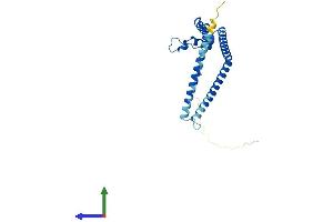 AlphaFold protein structure predicition of Mouse Recombinant Gadd45gip1 Protein, UniprotID Q9CR59