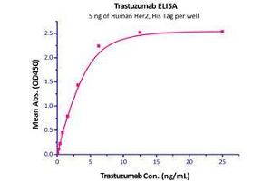 Immobilized Human Her2, His Tag  can bind trastuzumab with a linear ranger of 0. (ErbB2/Her2 Protein (AA 23-652) (His tag))