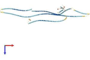 AlphaFold protein structure predicition of Mouse Recombinant Ccdc39 Protein, UniprotID Q9D5Y1 (CCDC39 Protein (AA 1-937) (His tag))